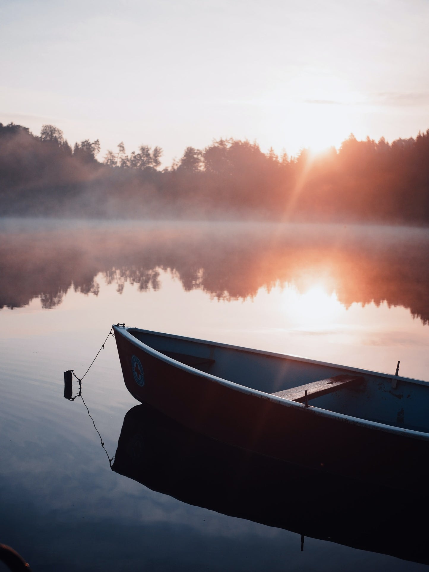 Hypnotherapy and Counselling: 90 minute Treatment Session